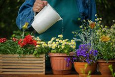 ¡Sacá las herramientas de jardinería y empezá a plantar si querés vivir 100 o más! Foto: Shutterstock