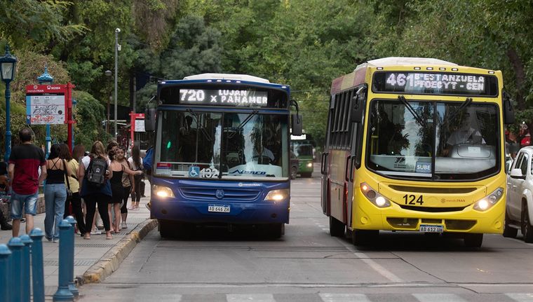El beneficio impacta en el personal de salud estatal Foto: Santiago Tagua/MDZ