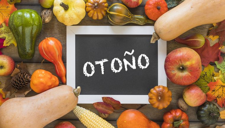 Foto: Freepik Foto de Marco creado por freepik - www.freepik.es