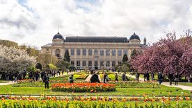 Museo Nacional de Historia Natural de París. Foto: X. Museo Nacional de Historia Natural de París. Foto: X.