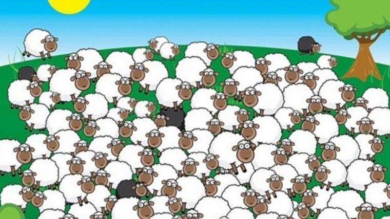 ACERTIJO VISUAL ACERTIJO VISUAL, RETO VISUAL, OVEJA Foto: ARCHIVO