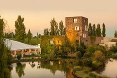 Una postal de la bodega. Foto: Bodega Renacer