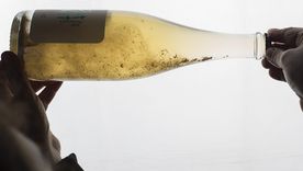 Foto: Wines of Argentina