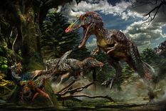 pinocho rex, una nueva especie de tiranosaurio