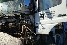 tres detenidos por la muerte del camionero agredido a pedradas