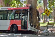 El colectivo se quedó sin frenos, chocó con árbol y murió el conductor Foto: Gentileza El colectivo se quedó sin frenos, chocó con árbol y murió el conductor Foto: Gentileza