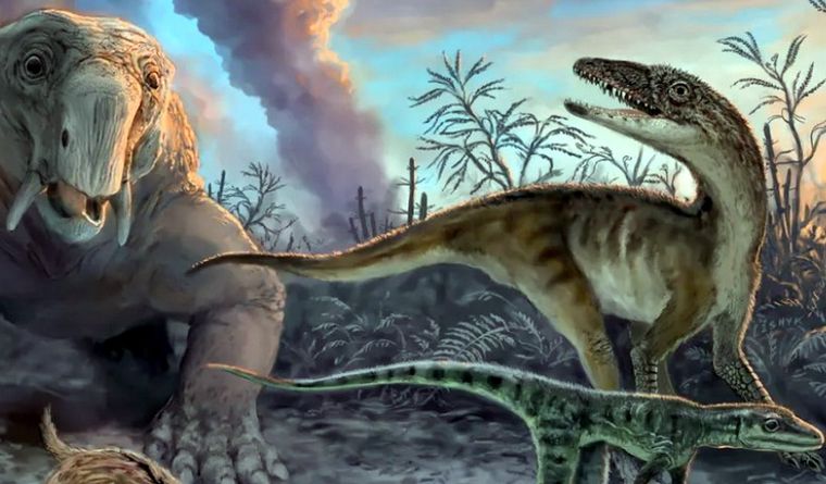 Un meteorito cambió la historia de la Tierra. Foto: Efe.