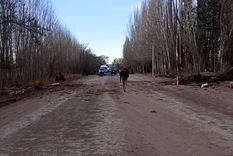 La fatalidad ocurrió alrededor de las 16:35, sobre la ruta 143, a la altura de Pareditas, en San Carlos.