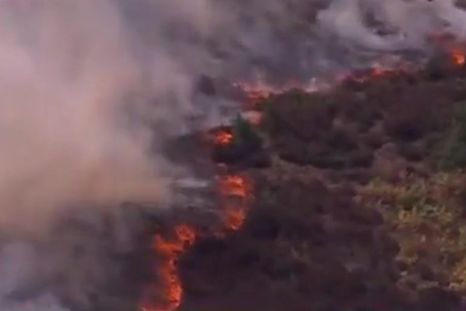 brutal incendio forestal en inglaterra: evacuaron varias viviendas en el sureste del pais