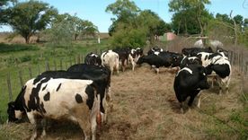 La legisladora kirchnerista desató la polémica. La legisladora kirchnerista desató la polémica.