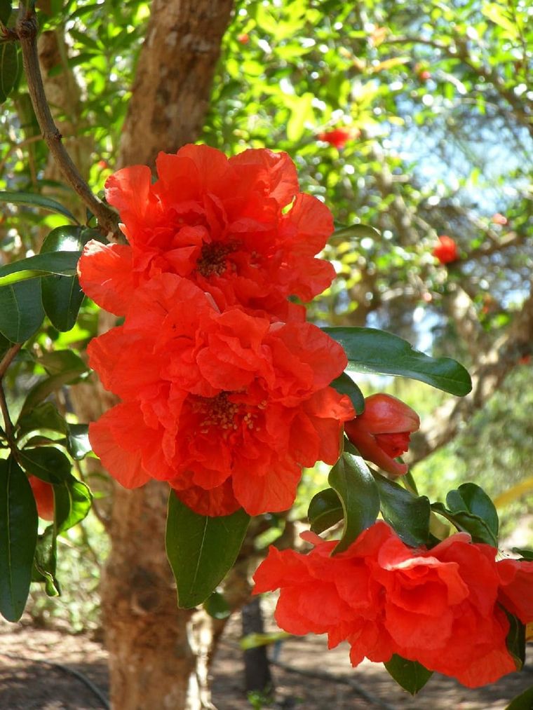 Foto: iStock