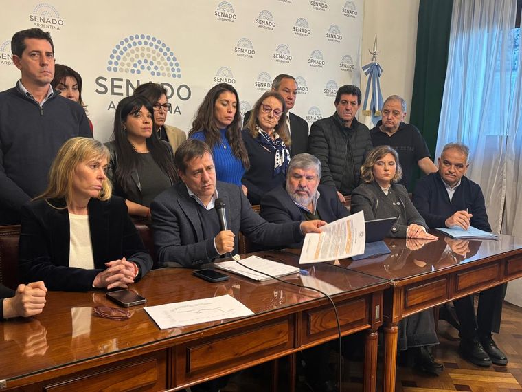 Conferencia de prensa de senadores K