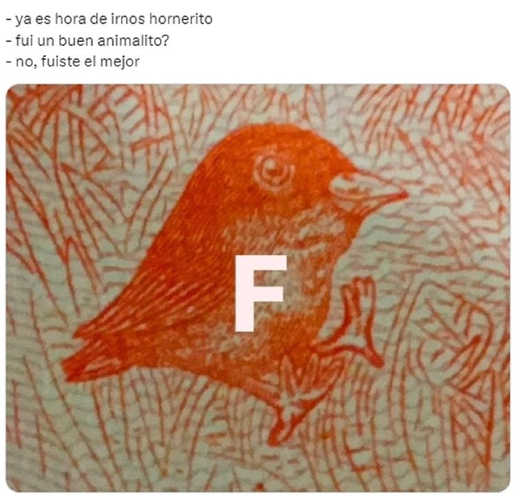 Foto: Redes sociales