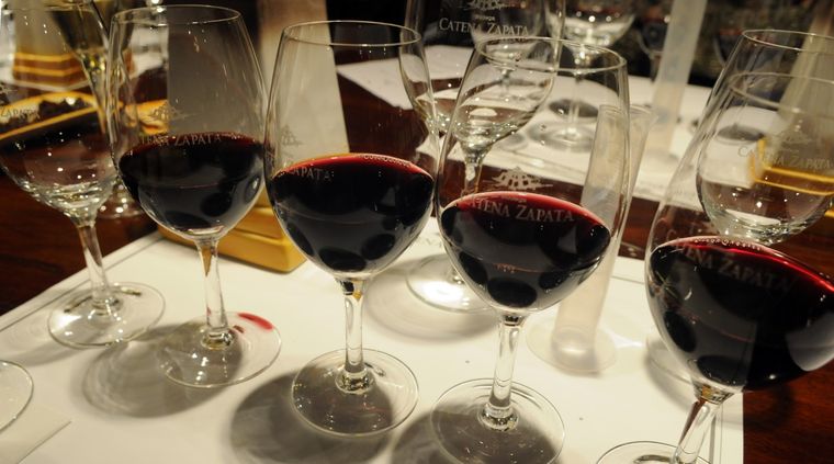 La comunicación y educación del vino, de la mano de una consultora argentina. Foto: ALF PONCE MERCADO / MDZ