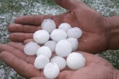 La ayuda llegará a través del Iscamen Foto: gentileza