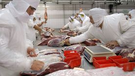 La carne bovina exportada cayó en volumen durante abril.Foto: NA La carne bovina exportada cayó en volumen durante abril.Foto: NA