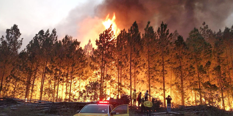 Los Esteros del Iberá quedaron en estado tras los incendios producidos años atrás Foto: Archivo MDZ