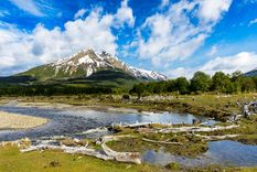 El Parque Nacional Tierra del Fuego es el área protegida más austral del país Foto: Shutterstock