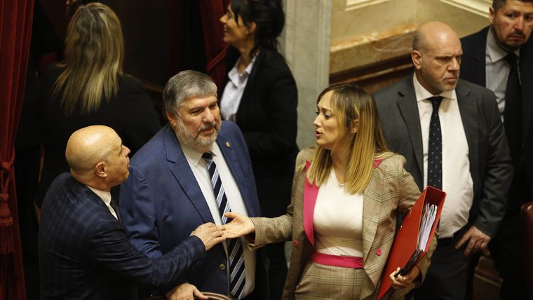 En el Gobierno reconocieron la inminente caída del veto a la Ley de Emergencia en Discapacidad. En el Gobierno reconocieron la inminente caída del veto a la Ley de Emergencia en Discapacidad.