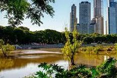 La Reserva Ecológica se encuentra en la zona sur de la Ciudad de Buenos Aires Foto: Gobierno de la Ciudad de Buenos Aires