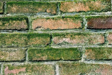 Cualquier moho que vea en el exterior podría significar que hay más dentro de las tuberías. Foto: Pixabay