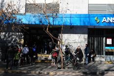 Anses entregará un bono extra a uno de los grupos priorizados para la asistencia social Foto: ALF PONCE MERCADO / MDZ