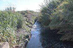 Declaran la emergencia sanitaria y ambiental en Guaymallén por derrames cloacales. Declaran la emergencia sanitaria y ambiental en Guaymallén por derrames cloacales.