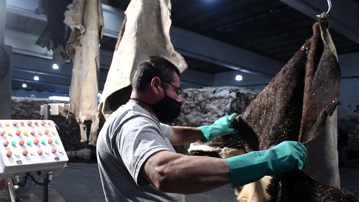 Juicios laborales: la buena noticia para Mendoza, a contramano del país