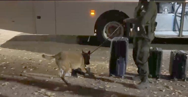 El can Cielo detectó la droga. El can Cielo detectó la droga.