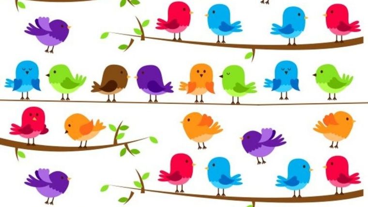 Acertijo visual, reto visual, Caracol Pinterest Foto: Archivo MDZ