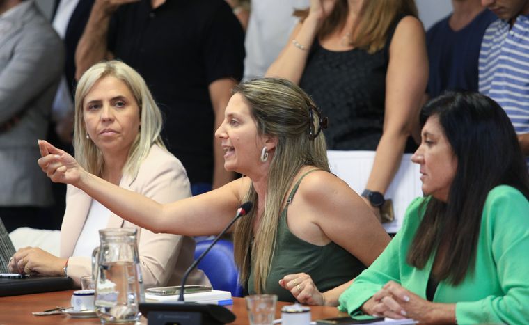 Lospennato, del PRO, dura contra el kirchnerismo. Foto: NA