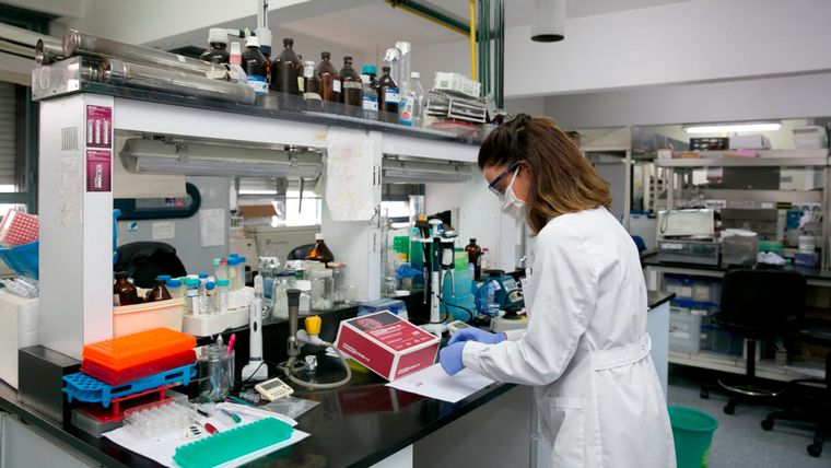 El subsidio MONARCA prioriza investigaciones con impacto local y uso de tecnologías emergentes, abarcando desde prevención y diagnóstico hasta tratamientos y supervivencia.