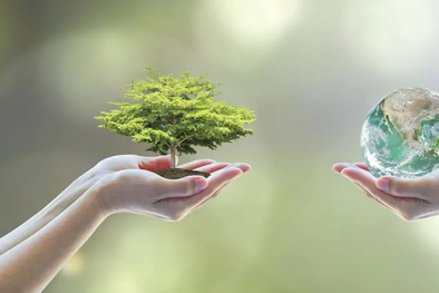 MDZol | SUSTENTABILIDAD