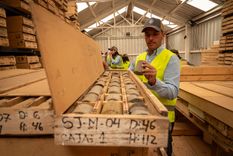 Los testigos obtenidos con las perforaciones diamantinas en PSJ Cobre Mendocino.