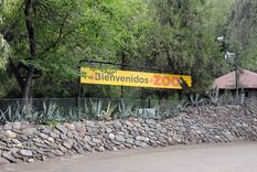 Foto: Alf Ponce / MDZ Foto: Alf Ponce / MDZ