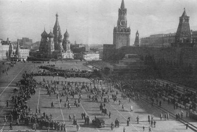 MDZol | 734562.jpg