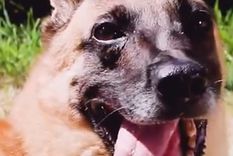 Juana trabajó durante 8 años en operativos de Prefectura Foto: Captura de video