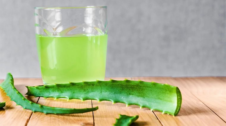 El aloe vera o sábila tiene grandes propiedades que ayudan a revivir las plantas Foto: Mejor con Salud