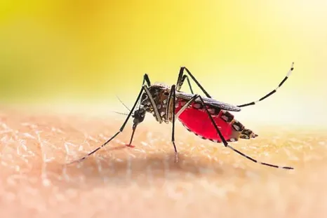 El dengue comienza cuando dejamos de prevenir.