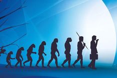 Nuestros cuerpos son un archivo viviente de la evolución.