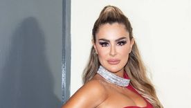 Ninel Conde fue fuertemente criticada por mostrarse con un perrito teñido de amarillo. Foto: Instagram