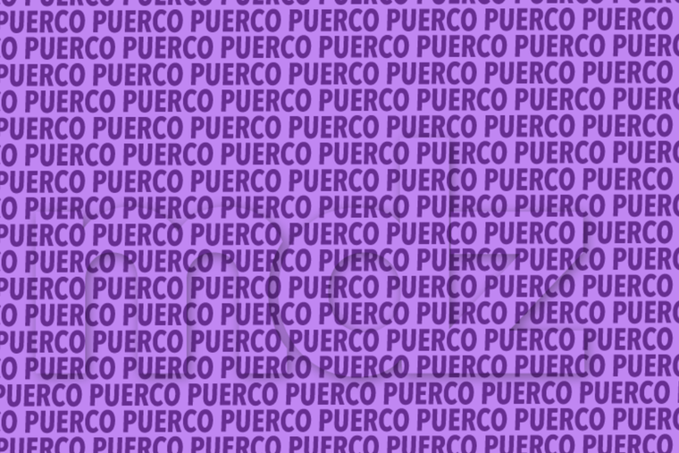 ACERTIJO VISUAL ACERTIJO VISUAL, RETO VISUAL, PALABRA Foto: MDZ ONLINE