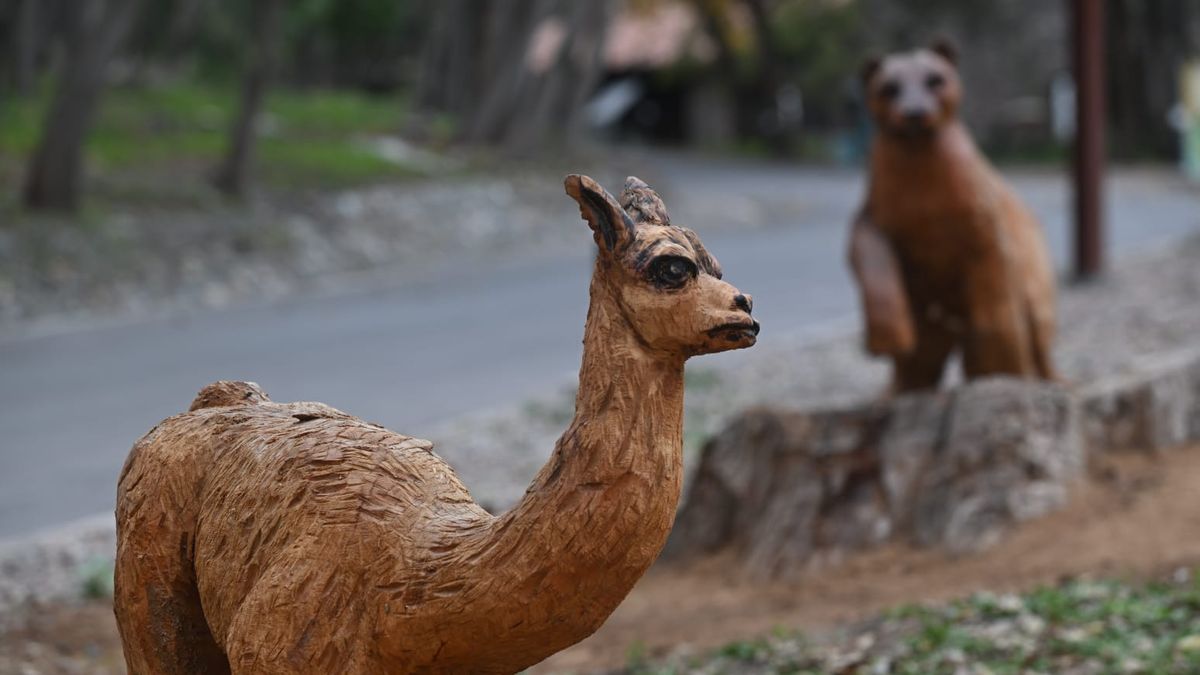 Así luce el Ecoparque de Mendoza después de estar 10 años cerrado