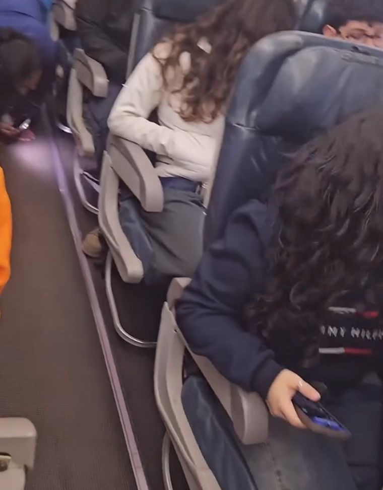 Una pasajera perdió a su hamster en pleno vuelo