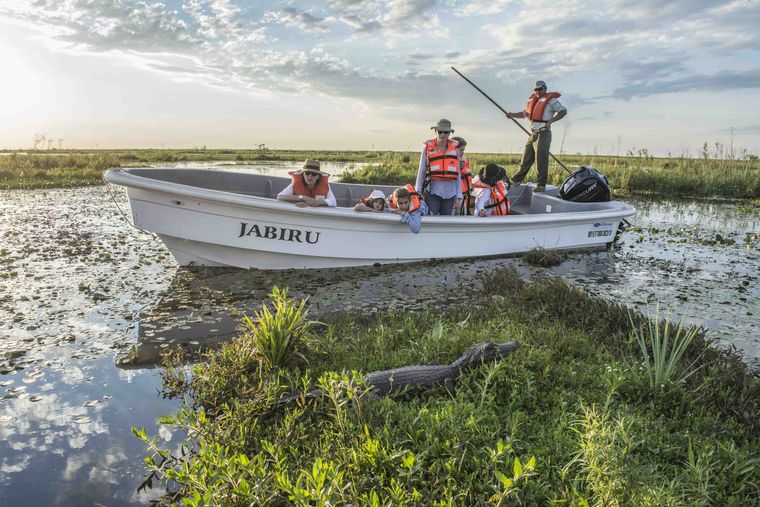 En Carlos Pellegrini se puede navegar en lancha por la laguna Iberá.