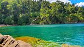 Una playa patagónica de agua esmeralda sorprende por su belleza natural. Una playa patagónica de agua esmeralda sorprende por su belleza natural.