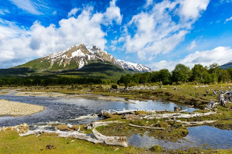 El Parque Nacional Tierra del Fuego es el área protegida más austral del país Foto: Shutterstock