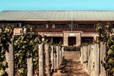 El edificio de Achaval Ferrer ubicado en Perdriel.