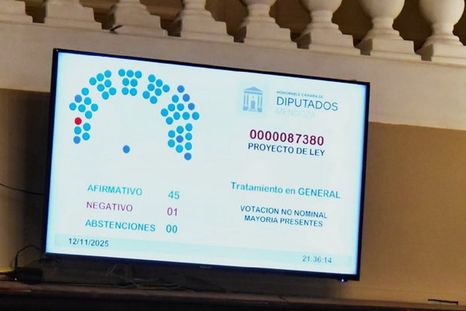 El proyecto continuará su tratamiento en el Senado para su ratificación. El proyecto continuará su tratamiento en el Senado para su ratificación.