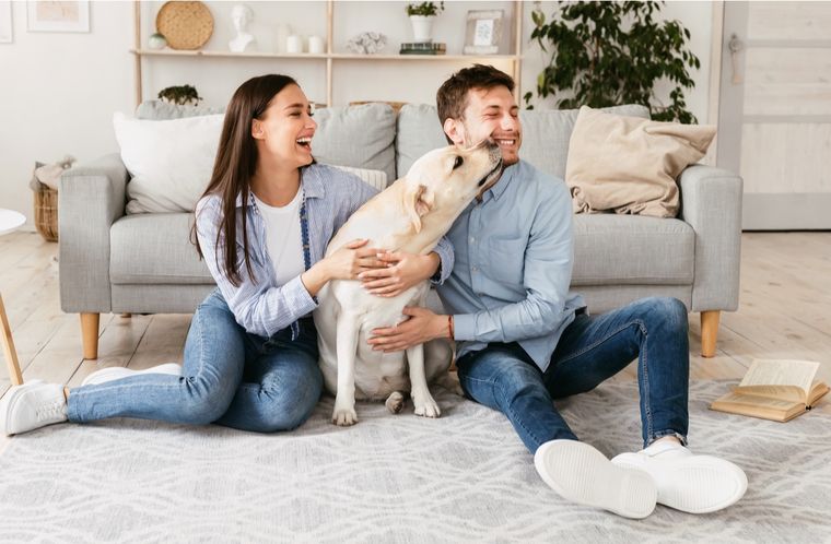 Mascotas Ejercicios para estimular el olfato Foto: Shutterstock